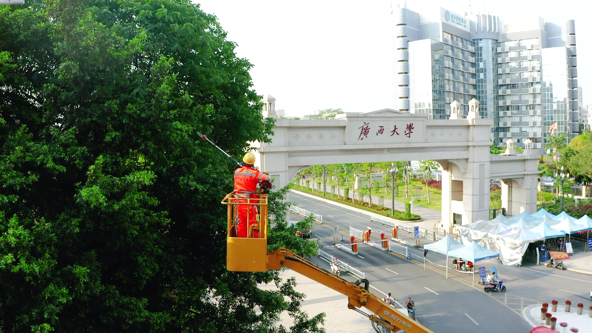 科(kē)麗特 美麗的守護者定稿-無字幕[00_03_10][20200811-110847].png