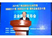 博世科(kē)入選2021年(nián)“廣西高新技術(shù)企業百強”、“廣西創新活力十強”